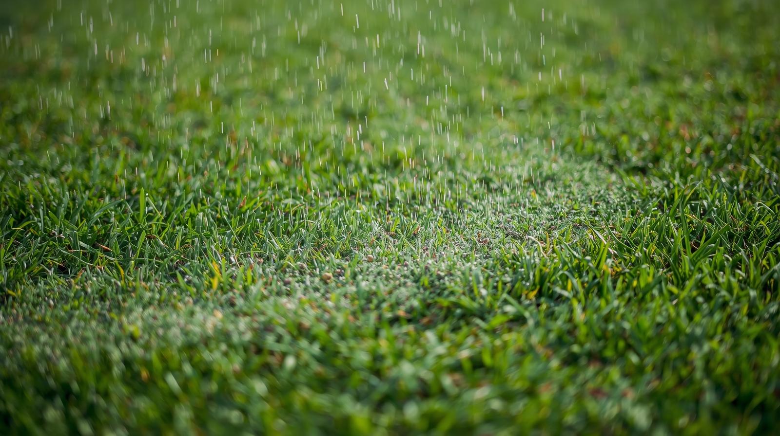 Professional lawn fertilization application